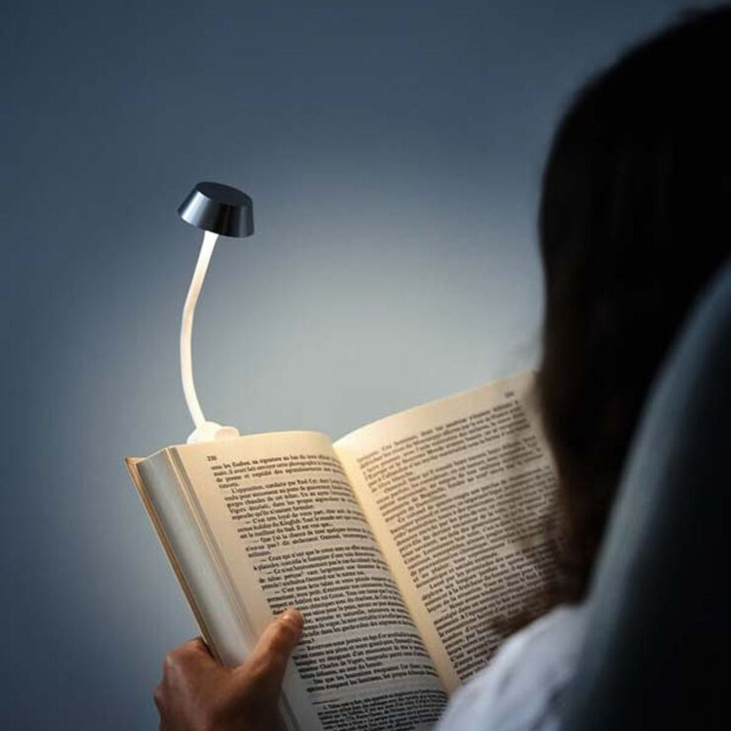 LEXON - Lampada da lettura Mimi, Argento